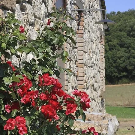 Vila Villa Orte